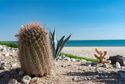 Historia del Aeropuerto Internacional Mar de Cortés en Puerto Peñasco, Sonora